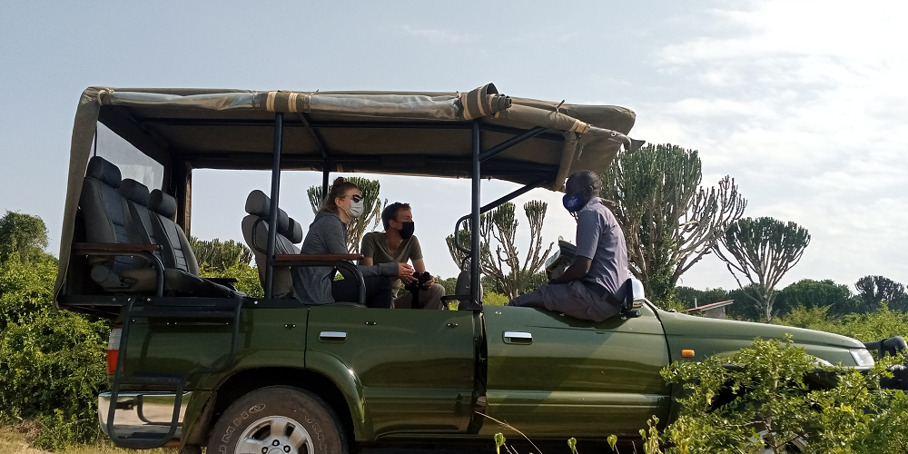 Game Viewing Drives